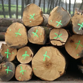logs – oak
