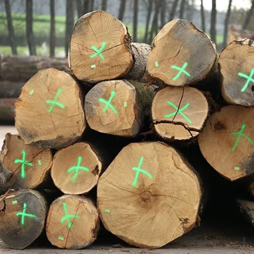 logs – oak