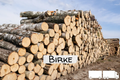birch logs – truckload flexibel (20 RM or 40 RM)