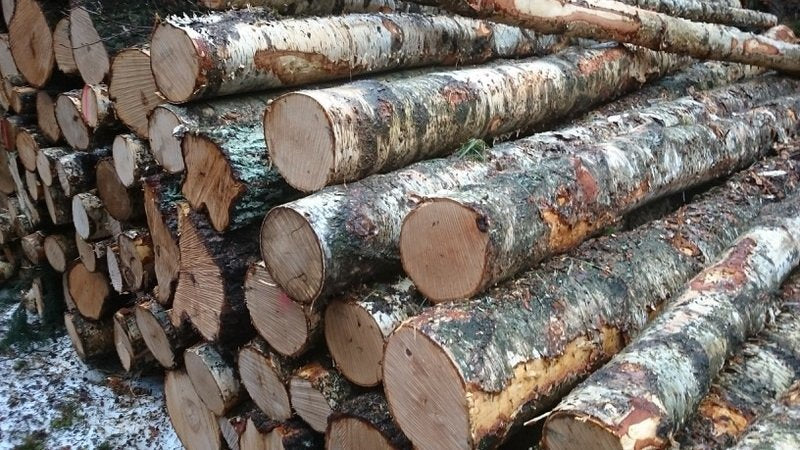 logs – birch