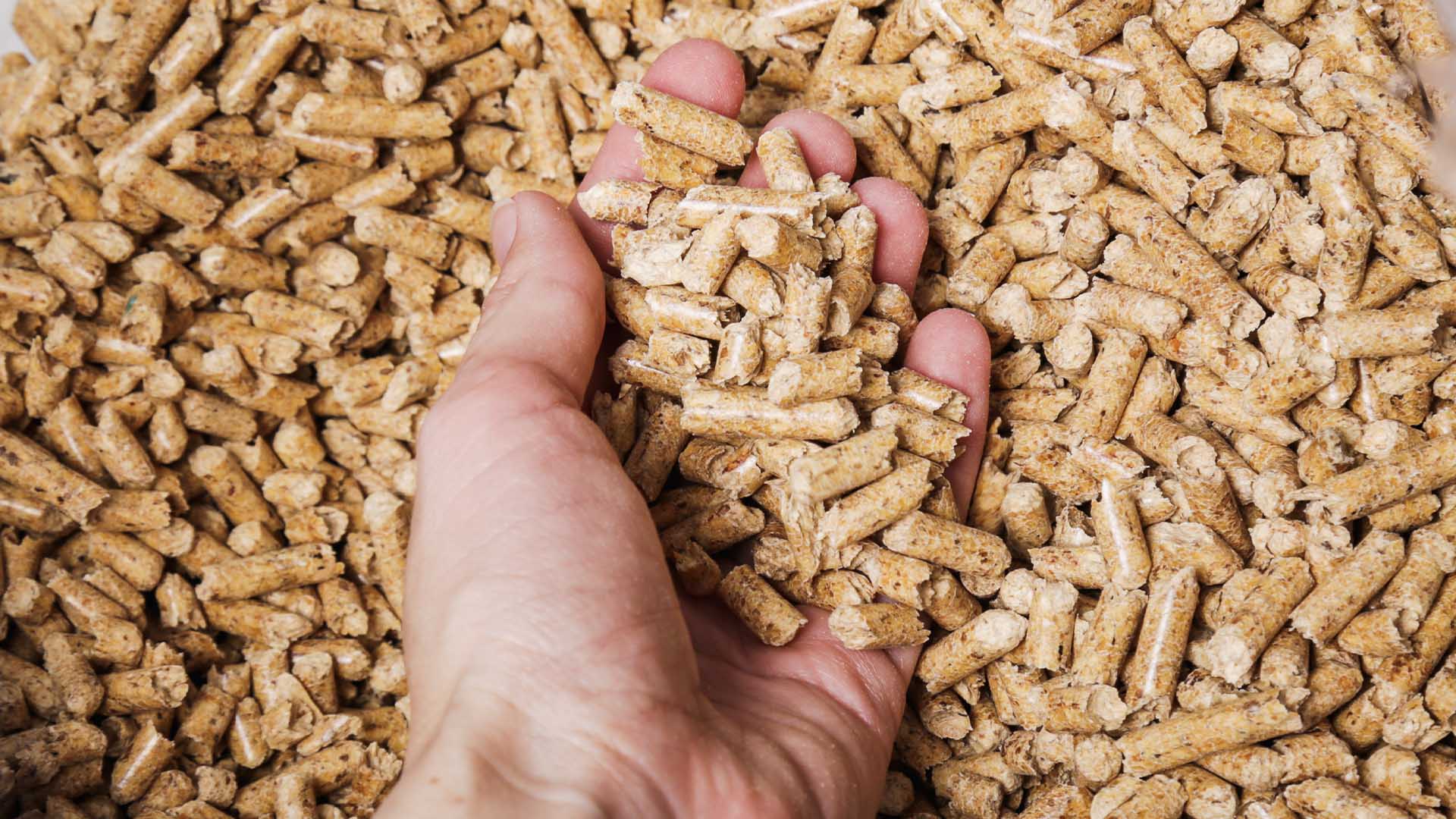 1 truckload Premium wood pellets – Bild 4