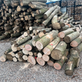 logs – mixed hardwood