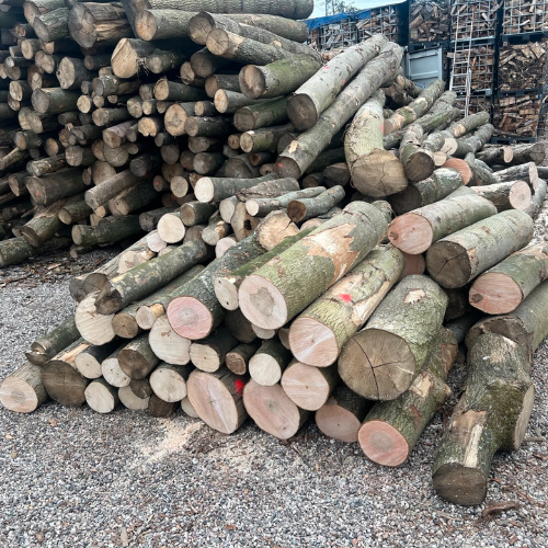 logs – mixed hardwood
