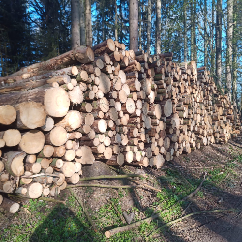 logs – softwood