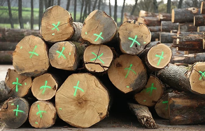 logs – oak