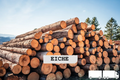 oak logs – truckload flexibel (20 RM or 40 RM)
