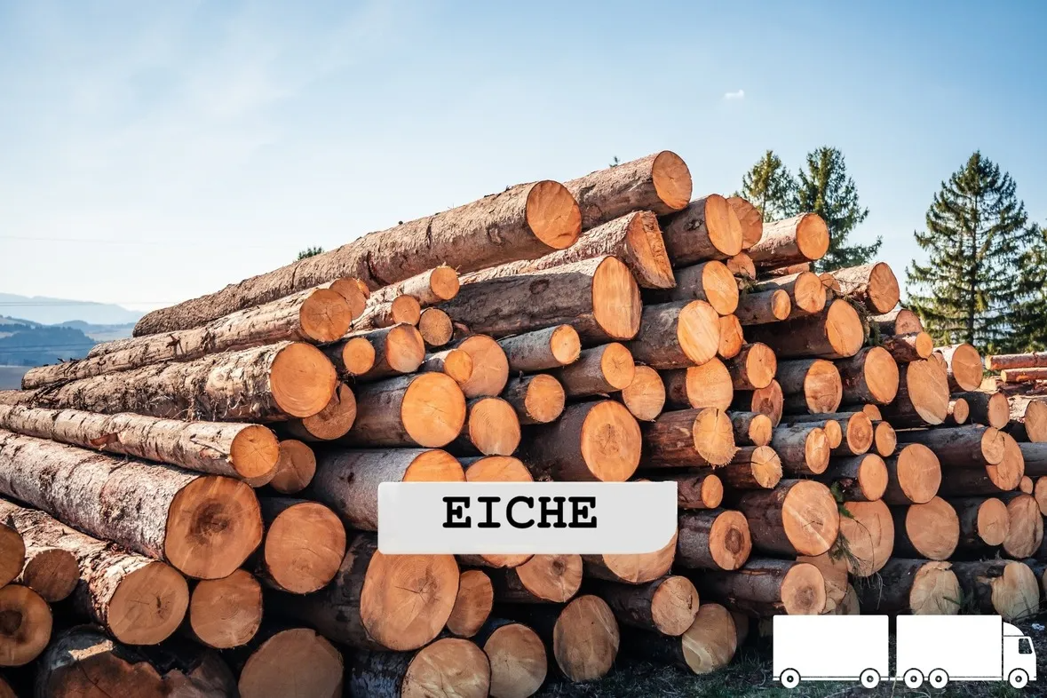 oak logs – truckload flexibel (20 RM or 40 RM)