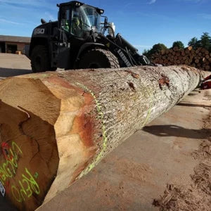 logs – oak
