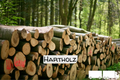 hardwood / deciyouous logs – truckload (20 – 40 RM)