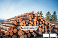softwood logs – truckload flexibel