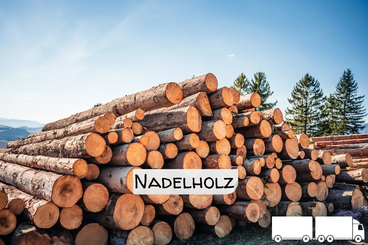softwood logs – truckload flexibel