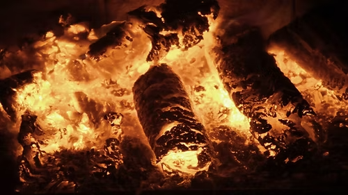 Spark beech-Kaminbriquettes rand 960 kg on a pallet – Bild 3