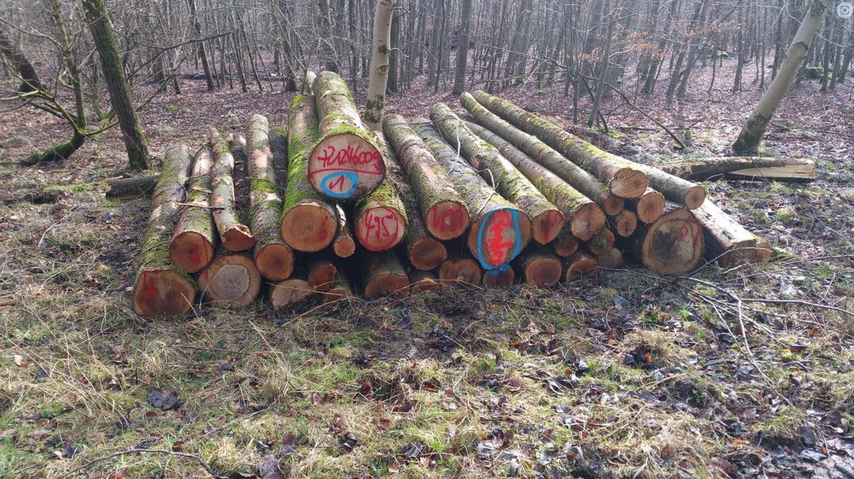 logs – ash