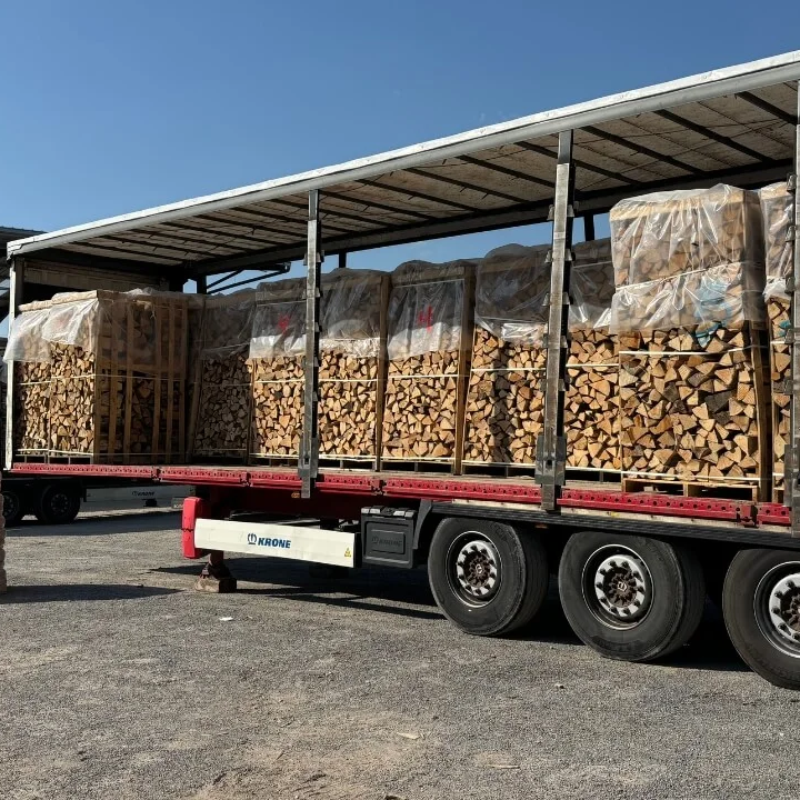 beech wood – truckload (48 RM) – 25 cm logs – premium quality H1 G1
