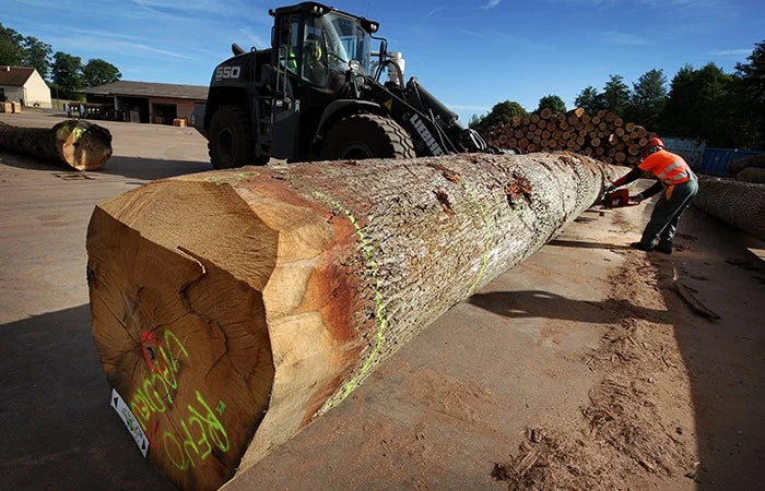 logs – oak