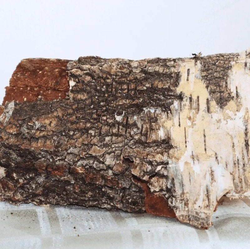 birch firewood 25 cm – 4 Big Bags à 1,0 SRM