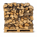 firewood from oak, 30 cm, drye logs on a pallet