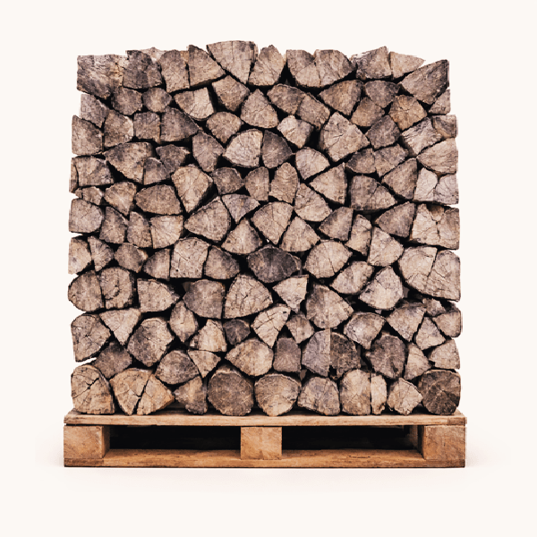 hornbeam firewood 50 cm drye logs on a pallet
