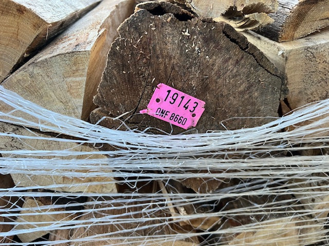 hornbeam firewood 50 cm drye logs on a pallet