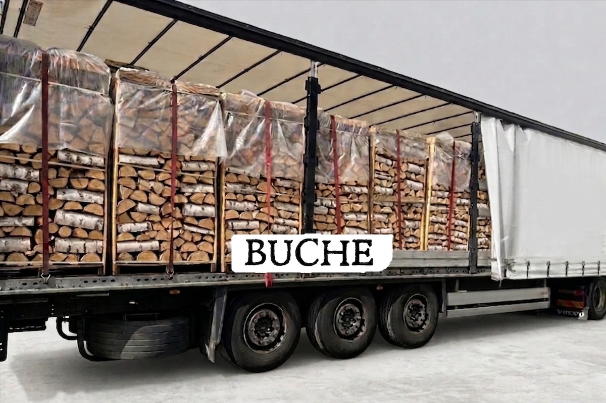 truckload firewood - beech - 25 cm - kiln-dried - 1,8 RM pallets – Bild 2