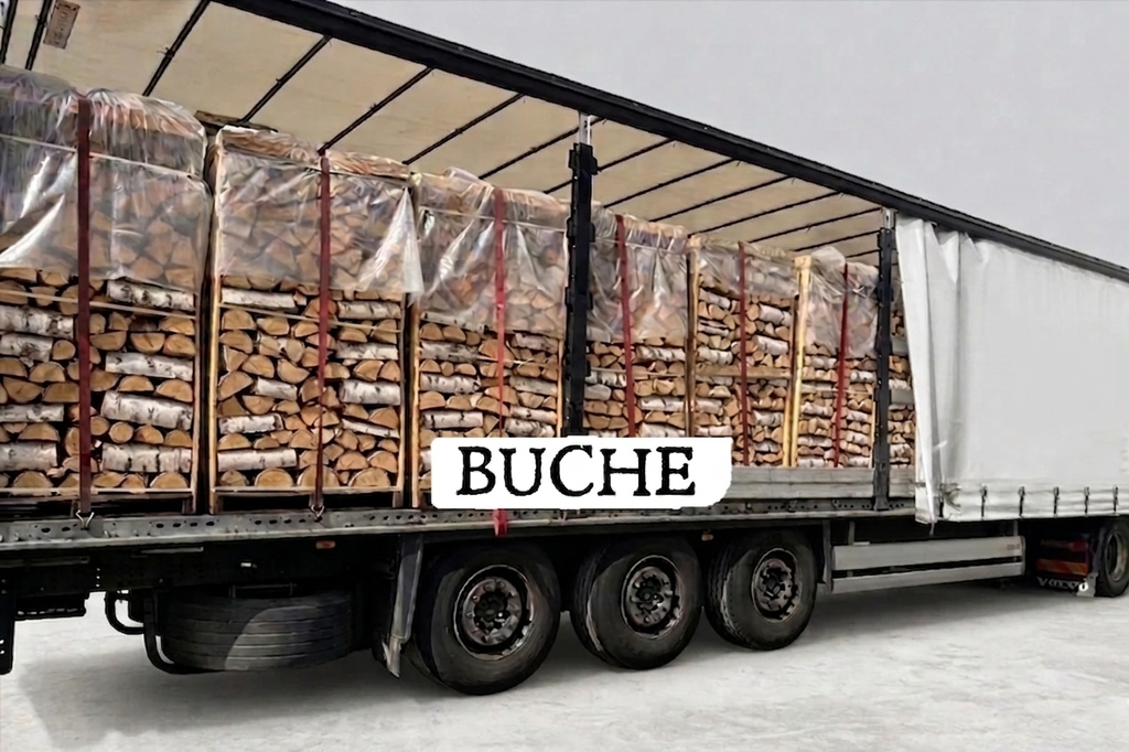 truckload firewood - beech - 25 cm - kiln-dried - 1,8 RM pallets