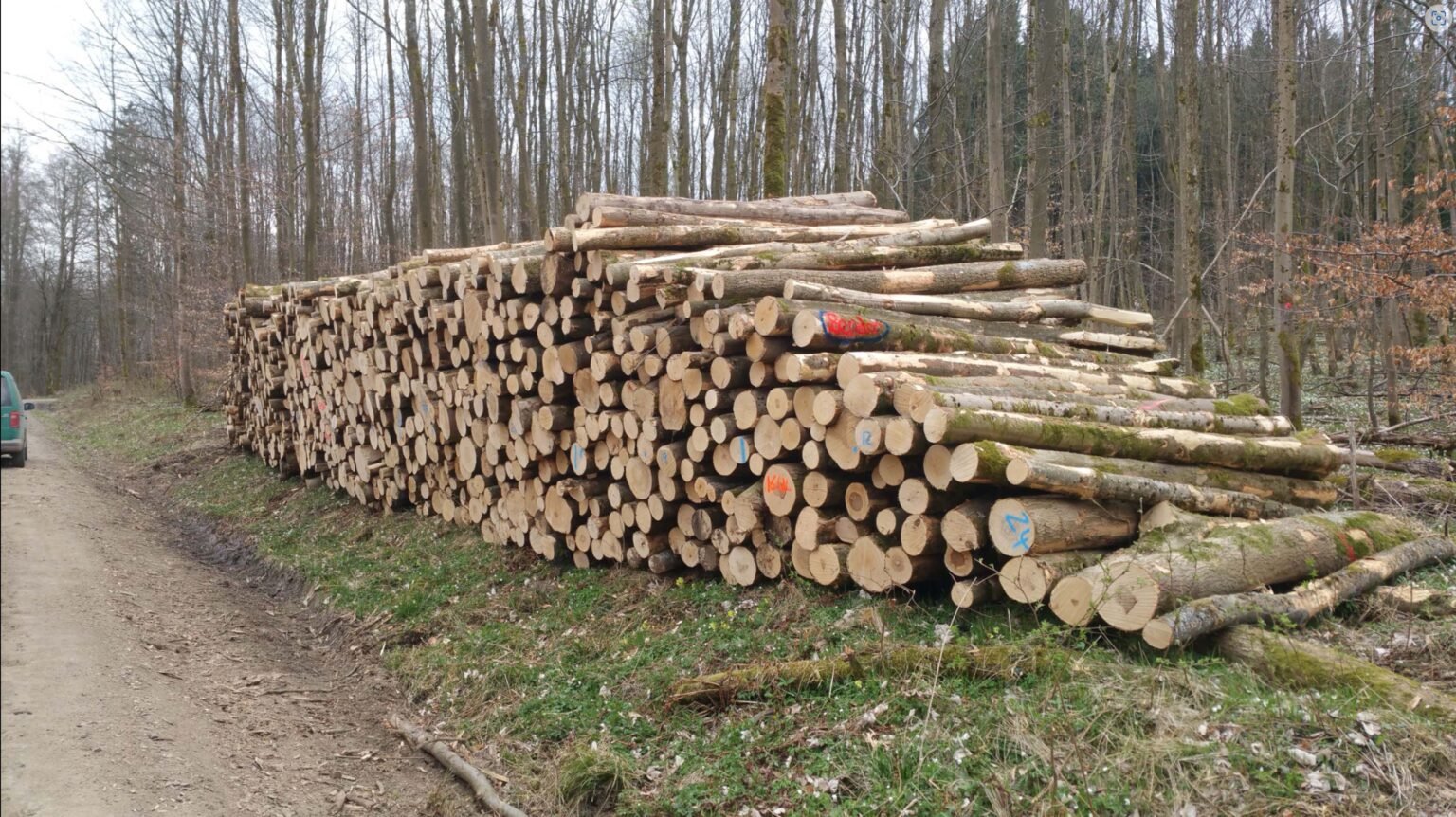 logs – ash
