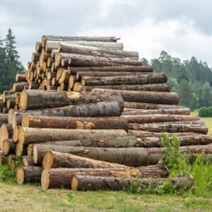 logs – spruce