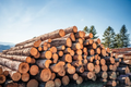 softwood logs – truckload flexibel
