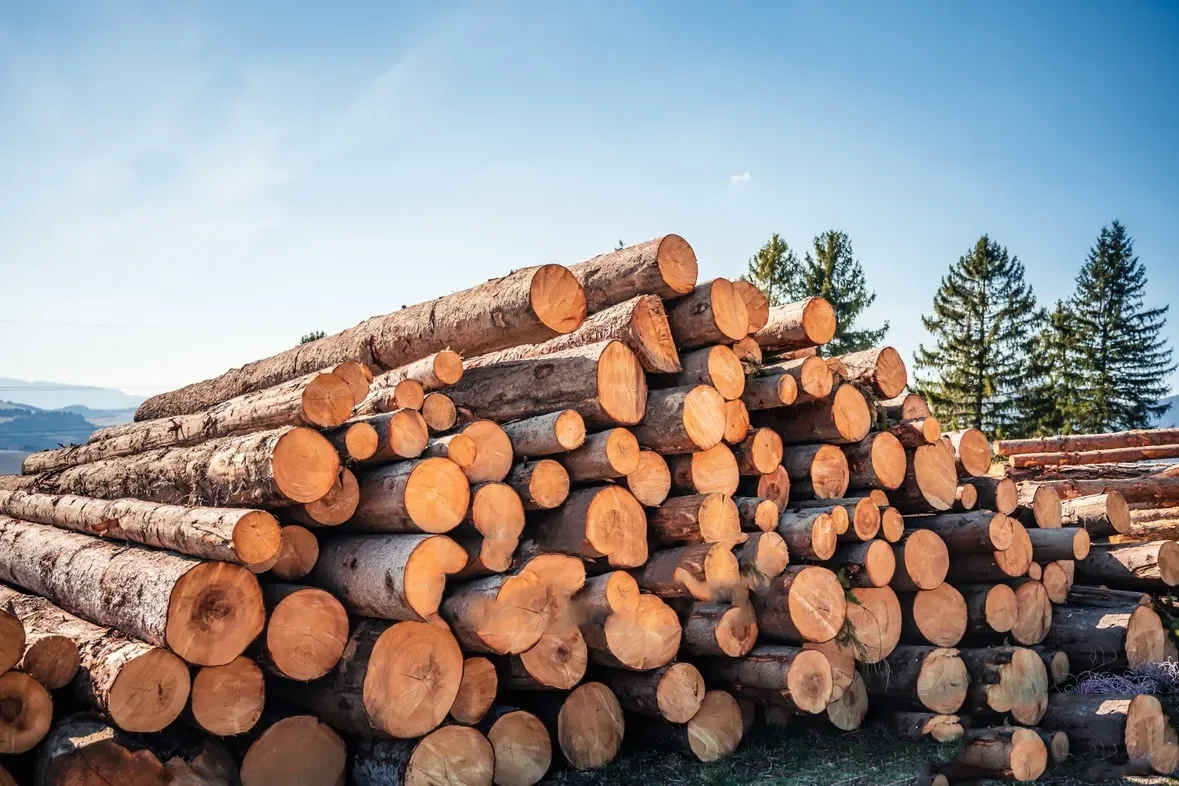 softwood logs – truckload flexibel