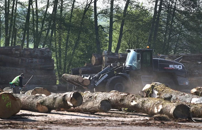logs – oak