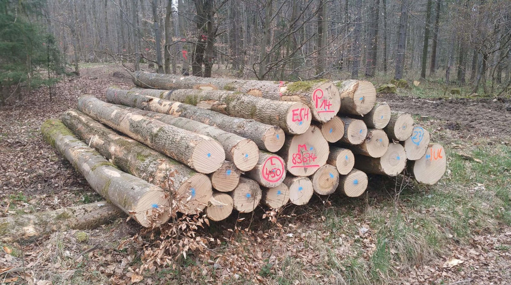 logs – ash