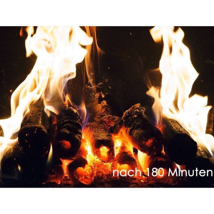 PINI KAY beech wood briquettes Premium 480kg