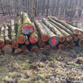 logs – ash