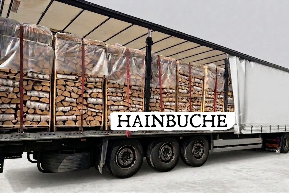 truckload firewood - hornbeam - 30/33 cm - kiln-dried - 2 RM pallets – Bild 2